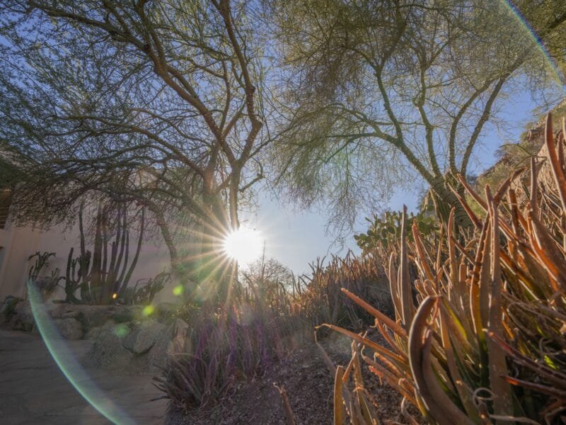 exteriors